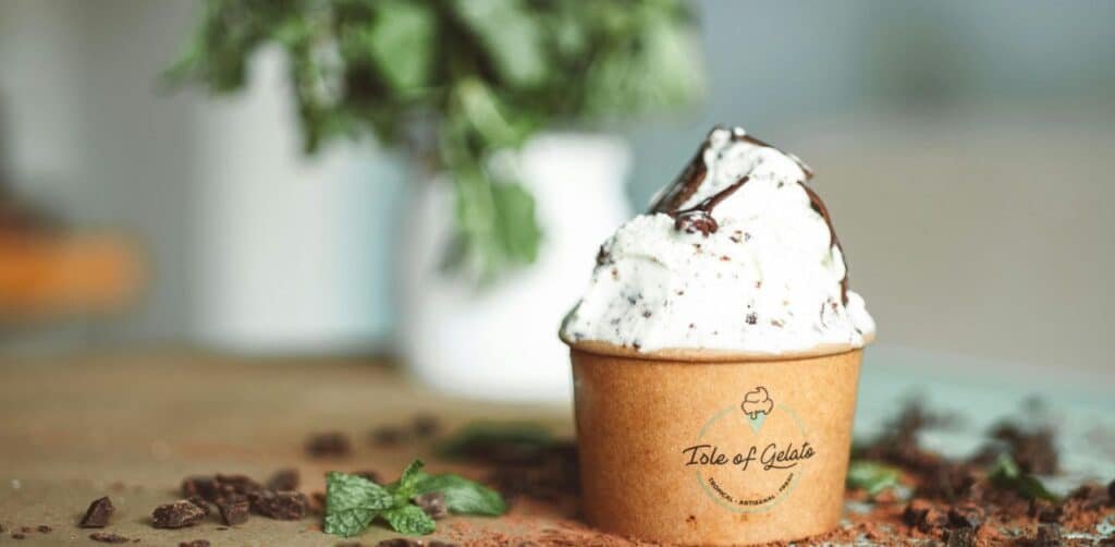 Mint chocolate chip cooikes