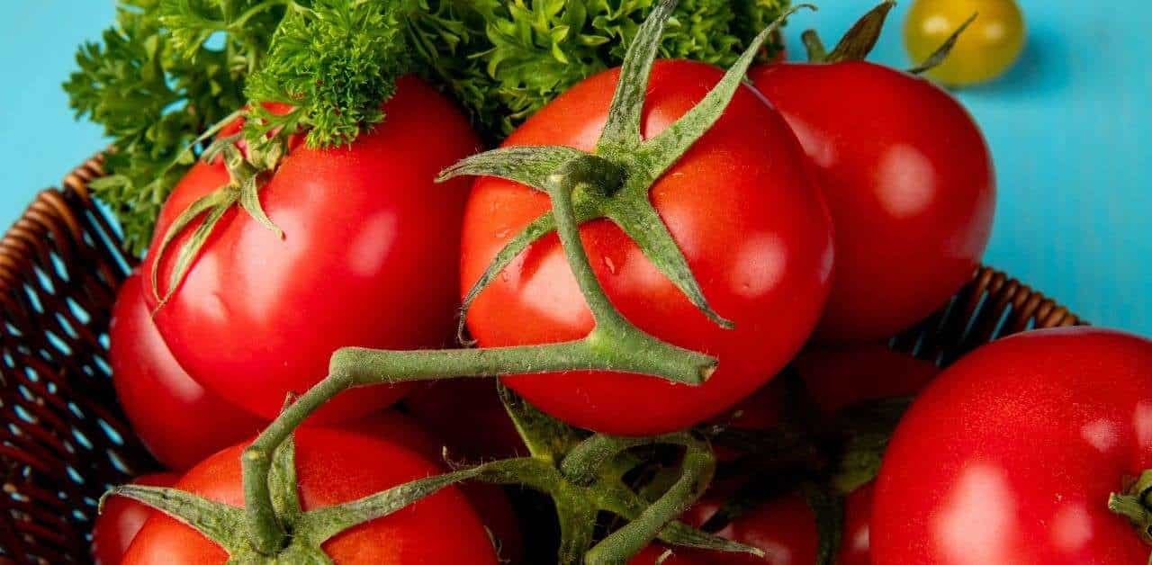 how many calories in a tomatoes