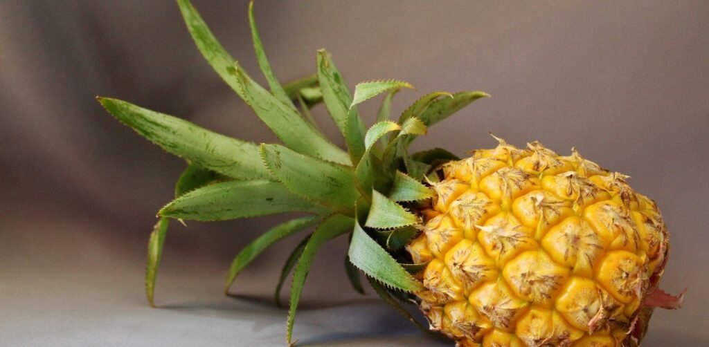 4. Pineapple