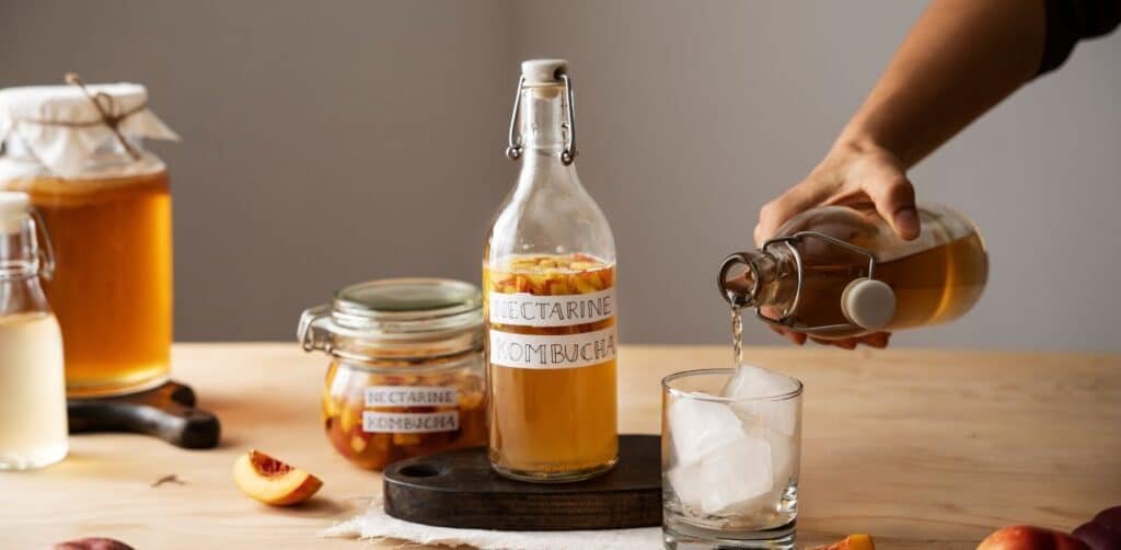 The Metabolic Bridge: Why the USA is Obsessed with Fermentation