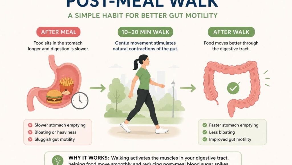 The Gut Microbiome & Gastrocolic Connection