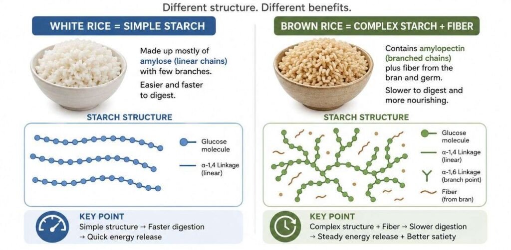 Brown Rice vs. White Rice: The Metabolic Audit